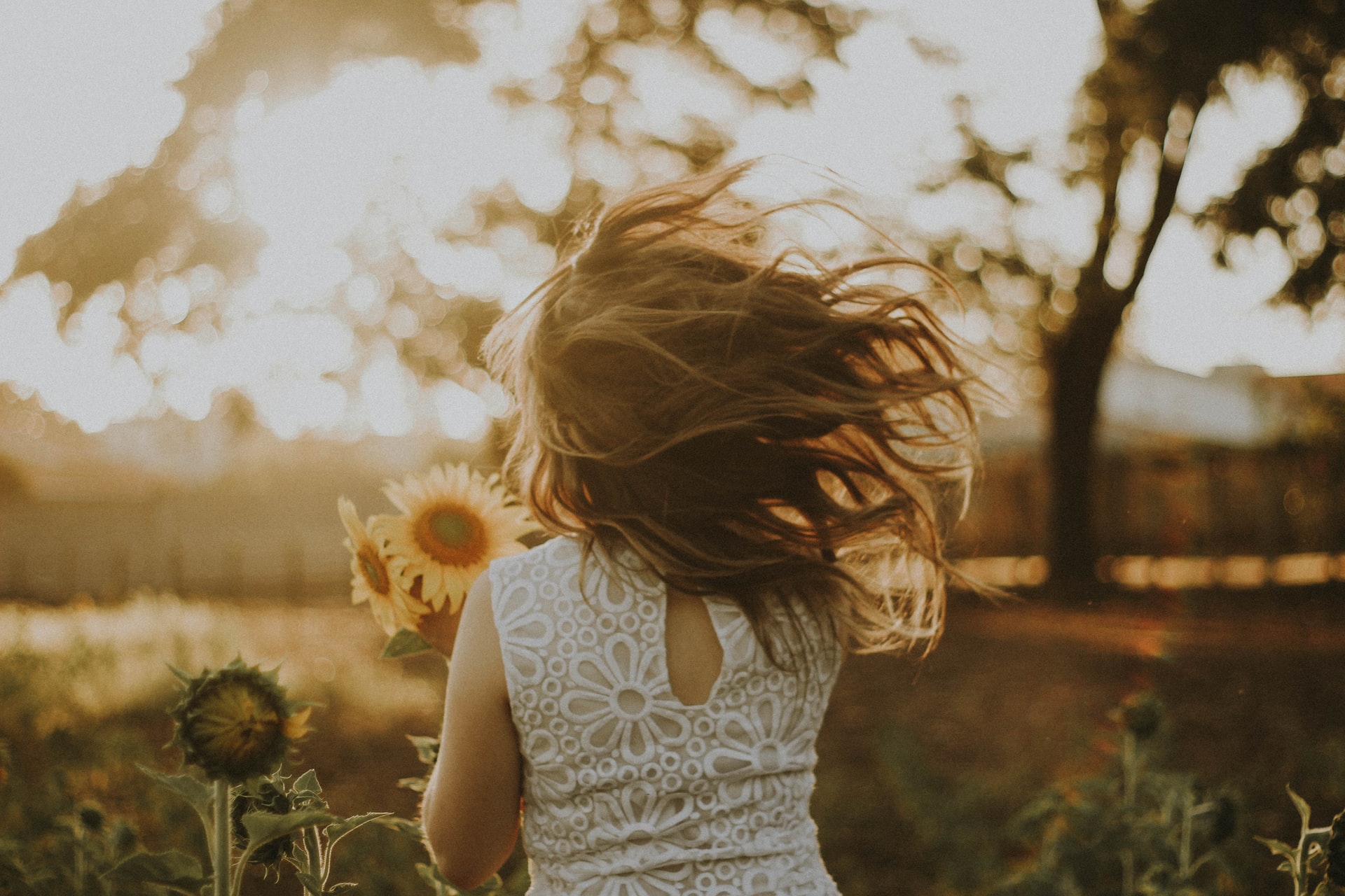 rodolfo-sanches-carvalho-n0yND3VH72E-unsplash